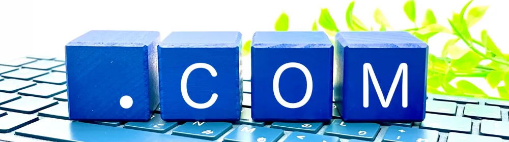 ドメイン名ハイジャックとは？ドメインの安全な管理方法を解説